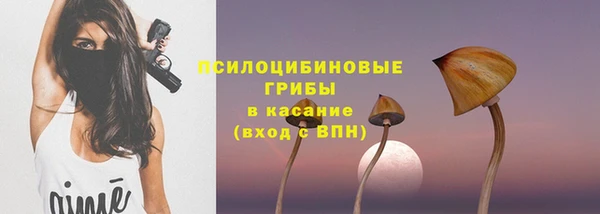 мдпв Сосновоборск