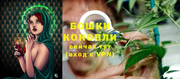 мяу мяу мука Белокуриха