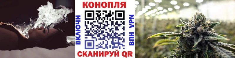 Бошки марихуана THC 21%  даркнет как зайти  Облучье 